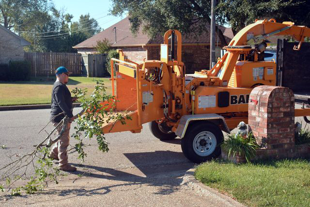 tree_removal